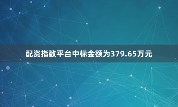 配资指数平台中标金额为379.65万元