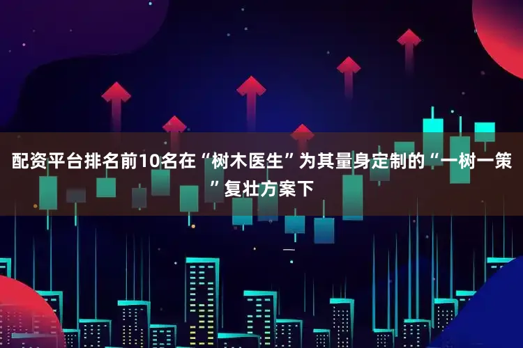 配资平台排名前10名在“树木医生”为其量身定制的“一树一策”复壮方案下
