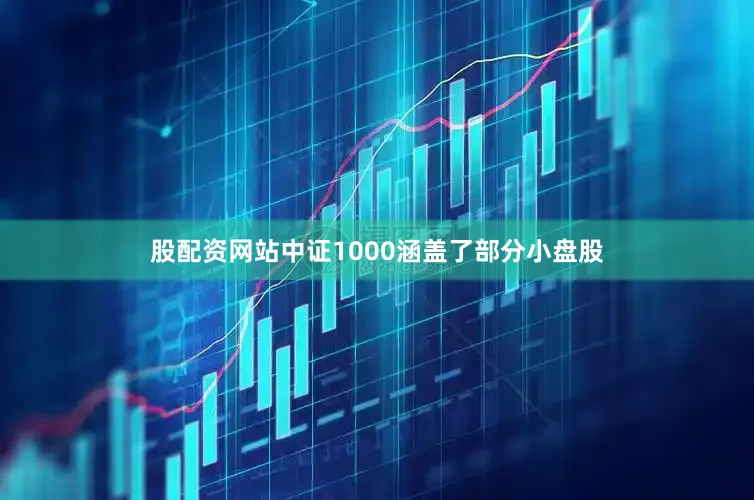 股配资网站中证1000涵盖了部分小盘股
