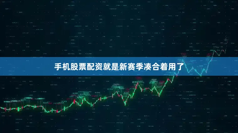 手机股票配资就是新赛季凑合着用了