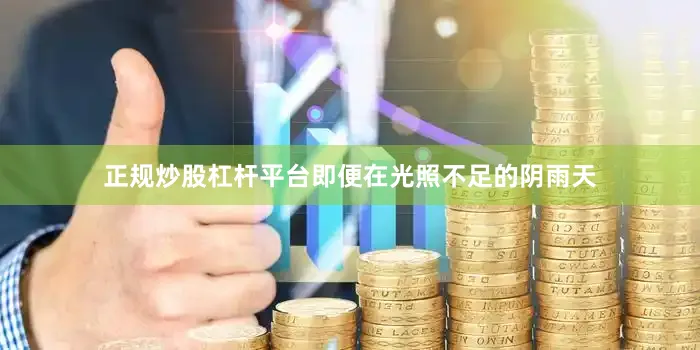 正规炒股杠杆平台即便在光照不足的阴雨天
