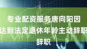 专业配资服务唐向阳因达到法定退休年龄主动辞职