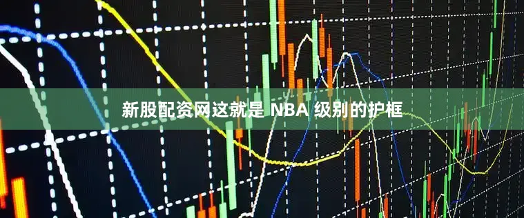 新股配资网这就是 NBA 级别的护框