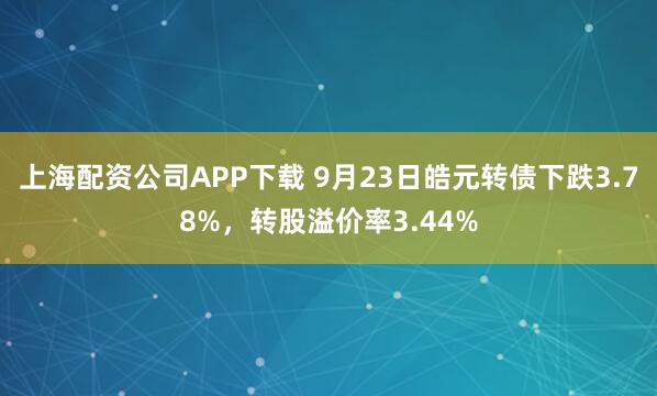 上海配资公司APP下载 9月23日皓元转债下跌3.78%，转股溢价率3.44%
